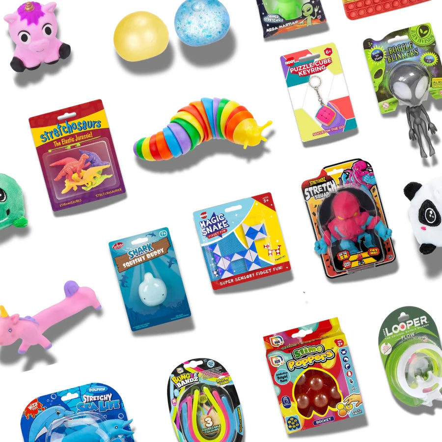 Sensory Fidget Toys Set,