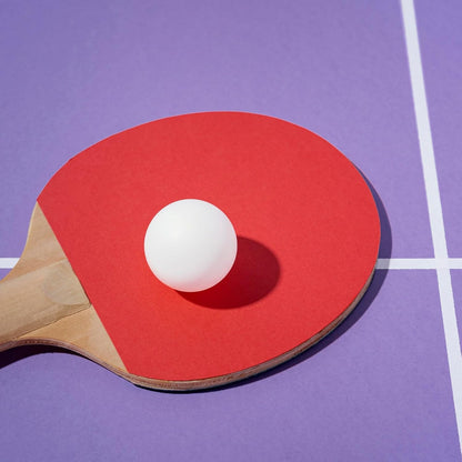 Outdoor Table Tennis Ping Pong Set with Paddles Balls for Kids