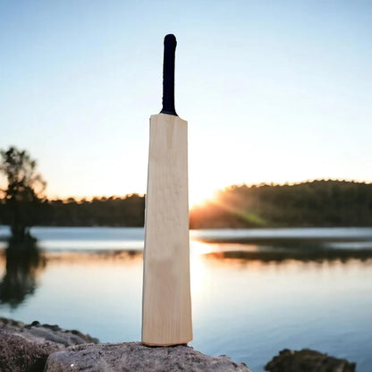Outdoor Sports Play Kit Wooden Cricket Set Bat Ball & Wickets