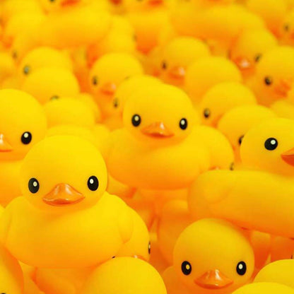 8PCS Mini Rubber Ducks Bath Toy Set