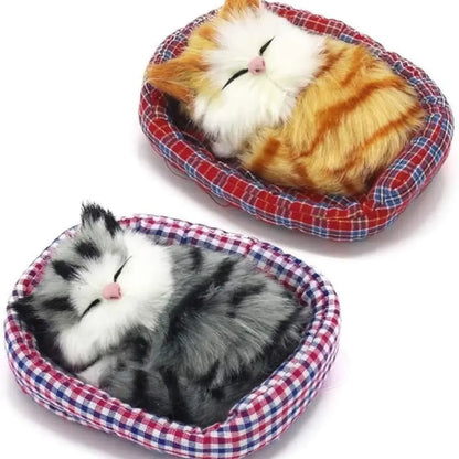 Shop Fun Cat Toys for Kids at Budget Store UK