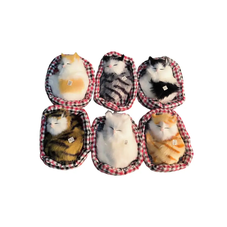 Shop Fun Cat Toys for Kids at Budget Store UK
